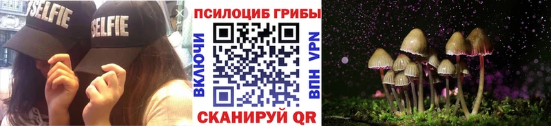 Псилоцибиновые грибы прущие грибы  Артёмовск 